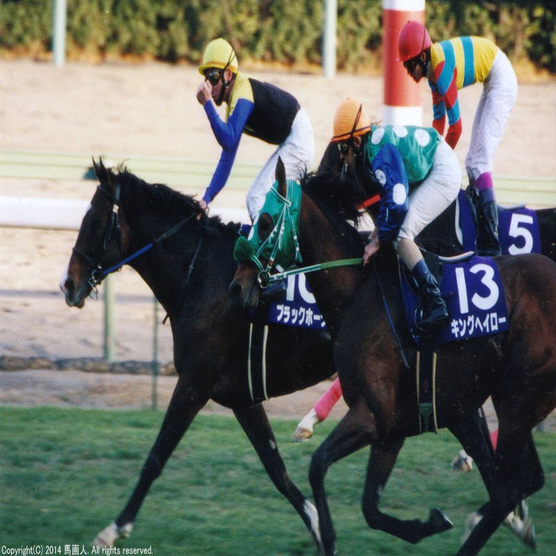 第33回sprinters Stakes 蔵出し写真 1999年 ブラックホーク 馬画人 まがじん Note