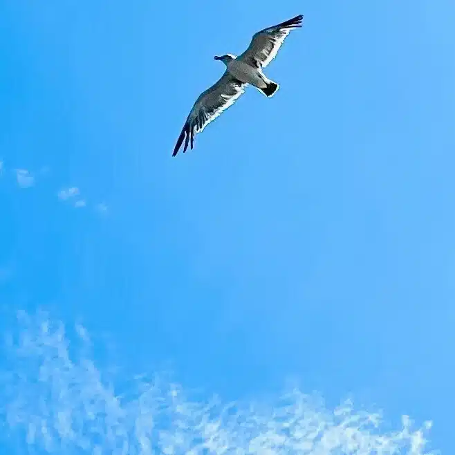 カイトノォト