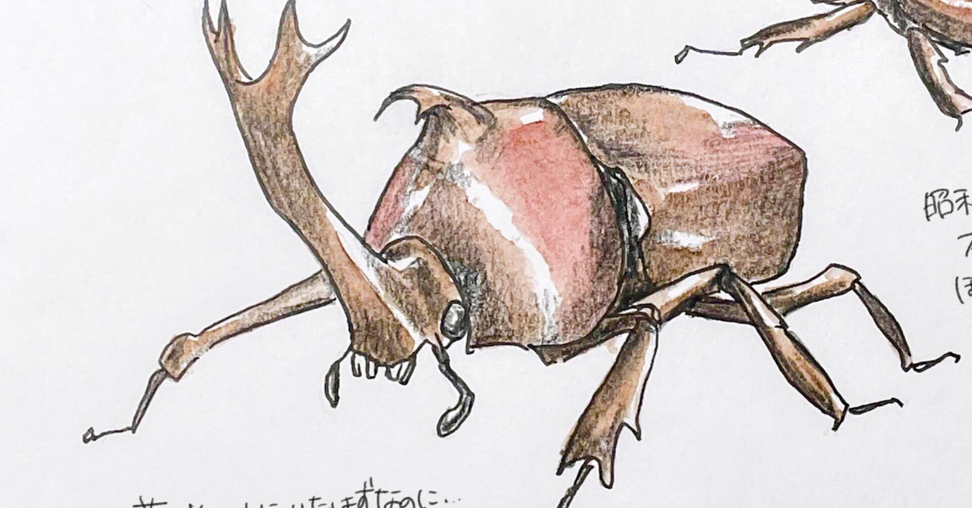 4e352a46f33b7bd487695e915088c5