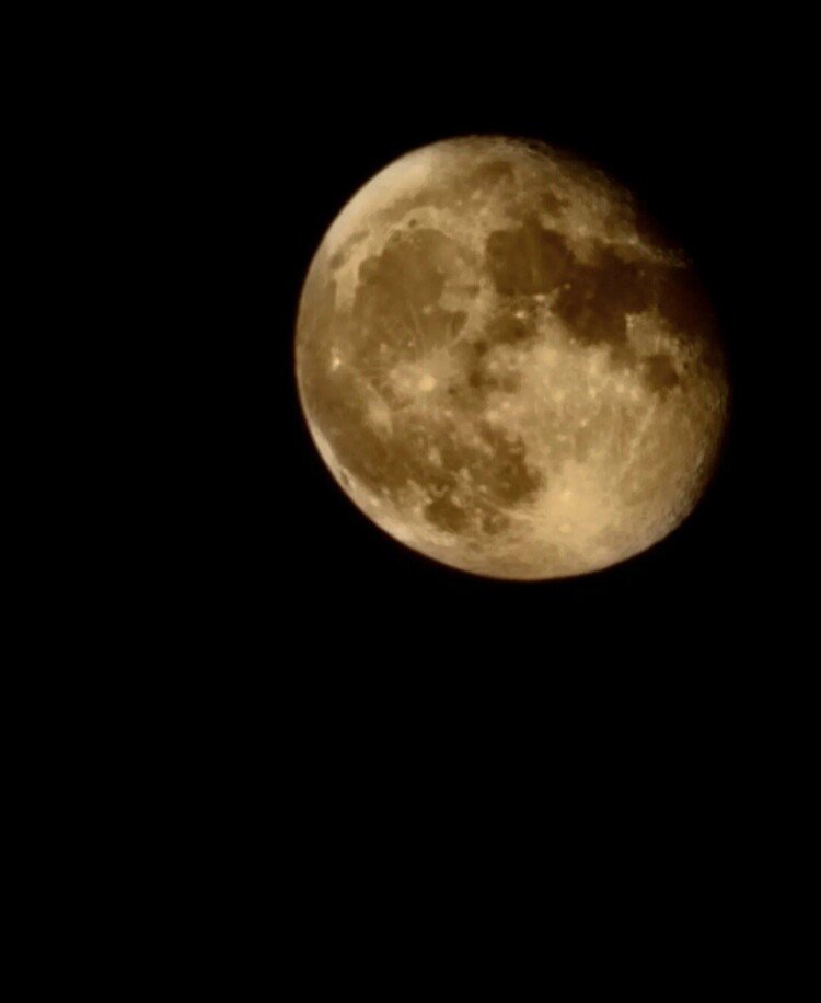 東の空に大きな大きな大きな月。
かぐや姫をジロジロ探しちゃいまして。

#sky #summer #moon #love #moritaMiW #空 #夏 #月 #アトリエの空 #佳い一日の終わり