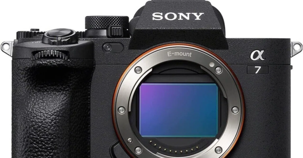 SONY α7IV×Sigma 65mm F2 DG DN ファーストインプレッション