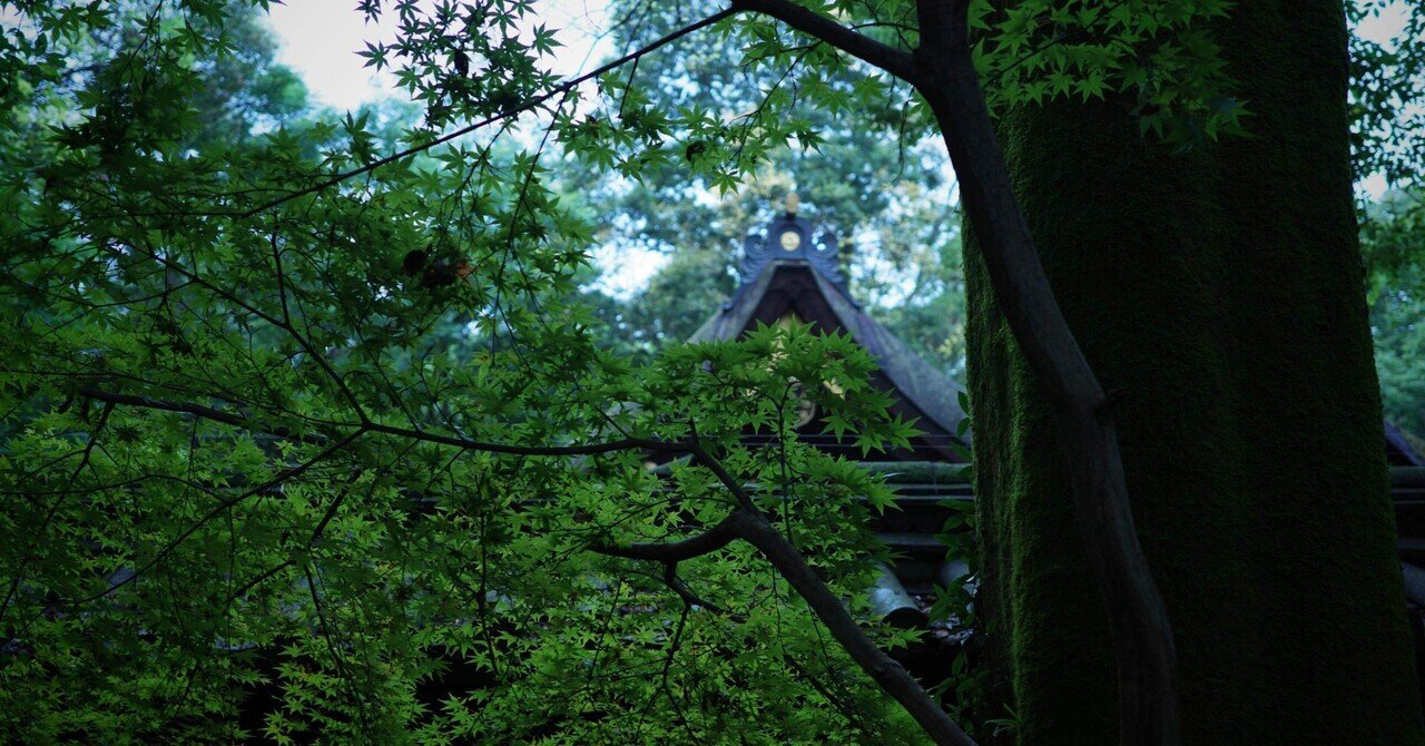 朝 糺の森を散歩しよう 森林浴のススメ だば田 散歩とエッセイ Note 朝 糺の森を散歩しよう 森林浴のススメ だば田 散歩とエッセイ Note