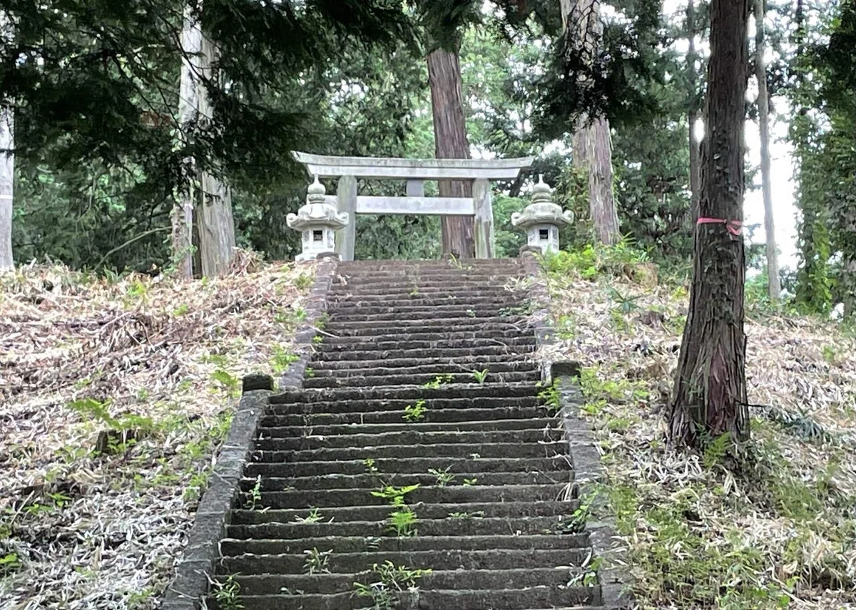 画像