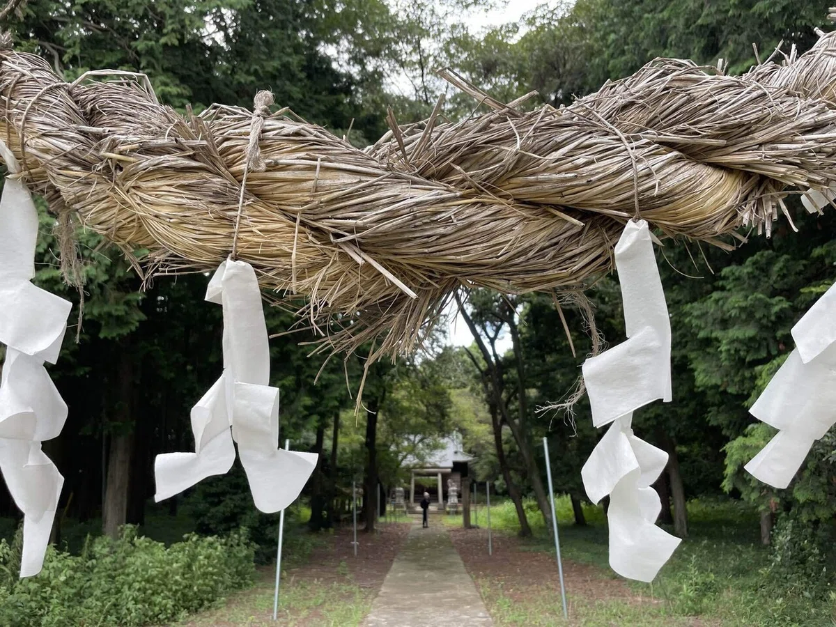 画像