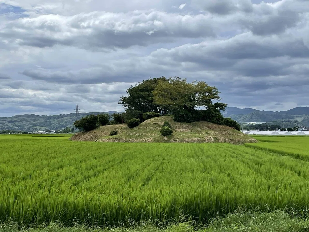 画像