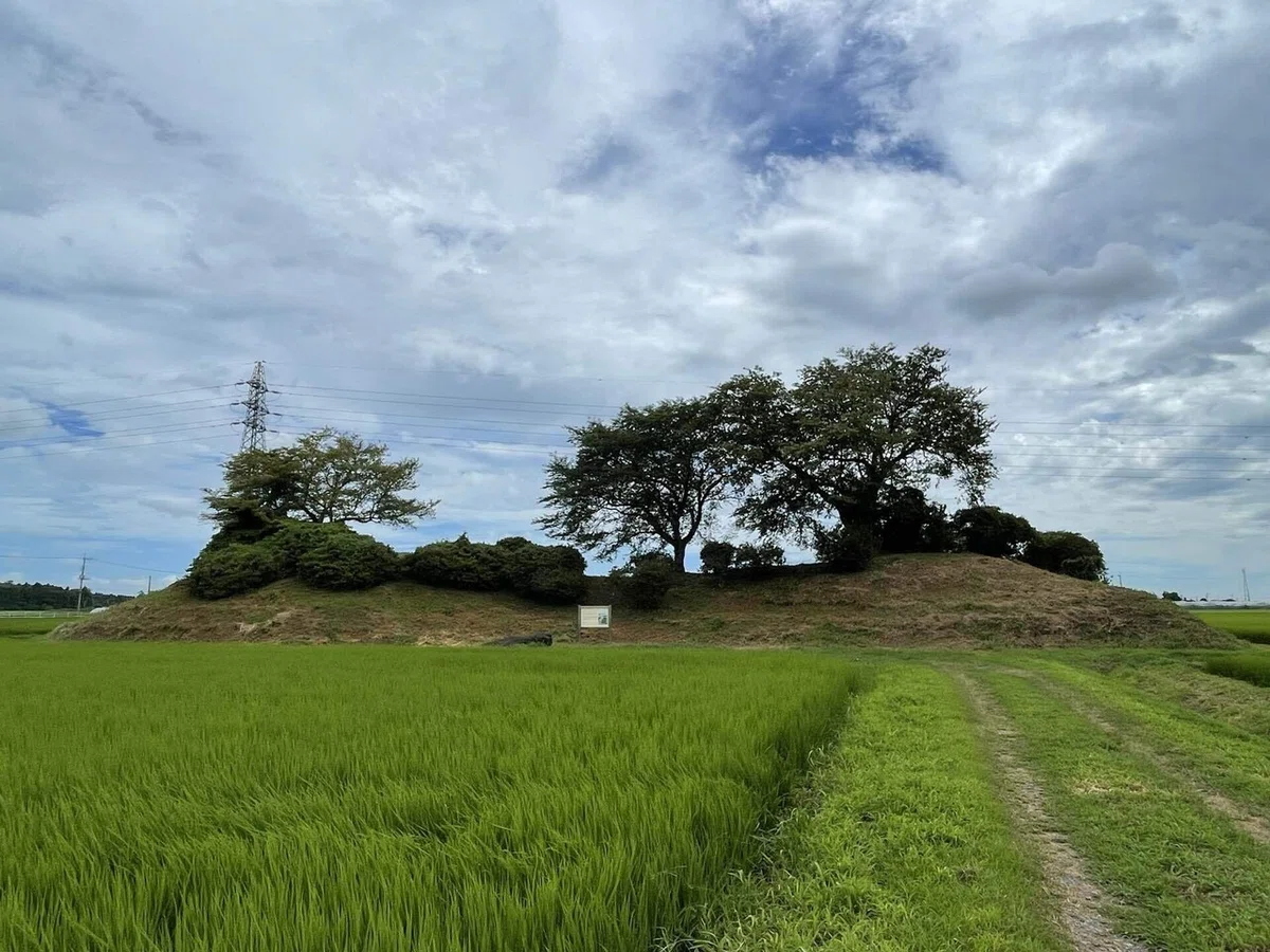 画像