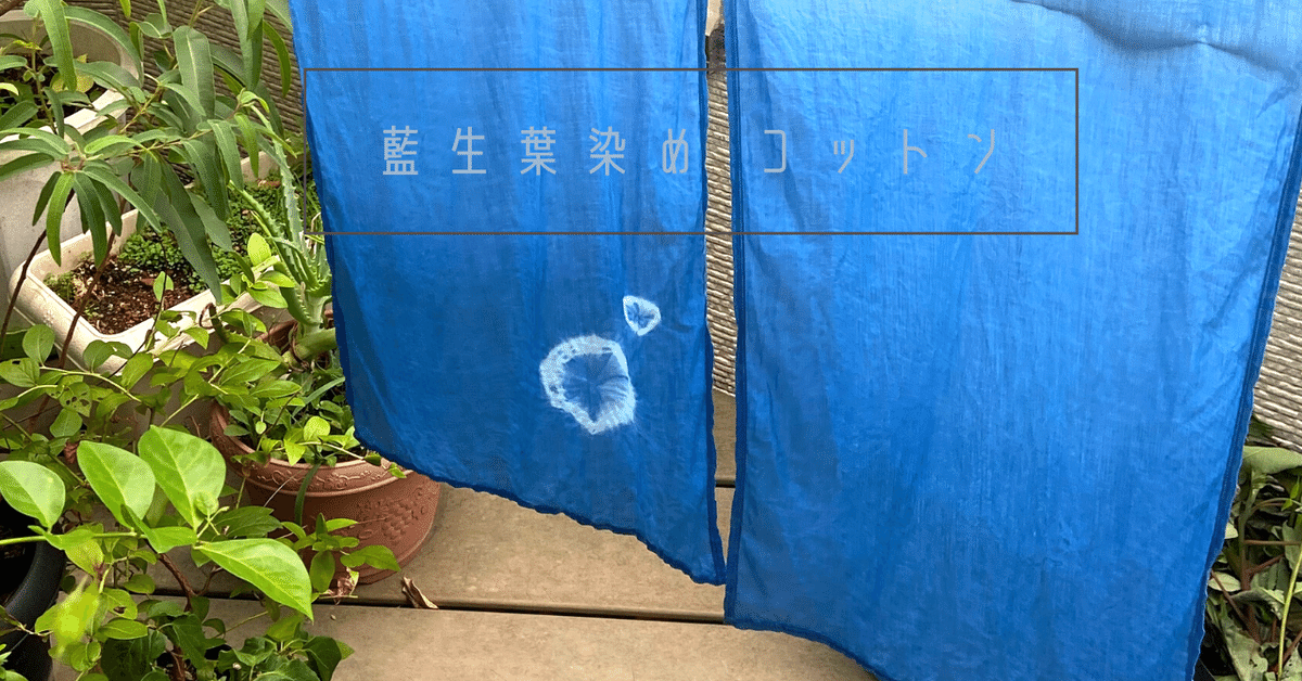 藍染め】藍の栽培から染色まで夫婦の愛でつくるジャパンブルー