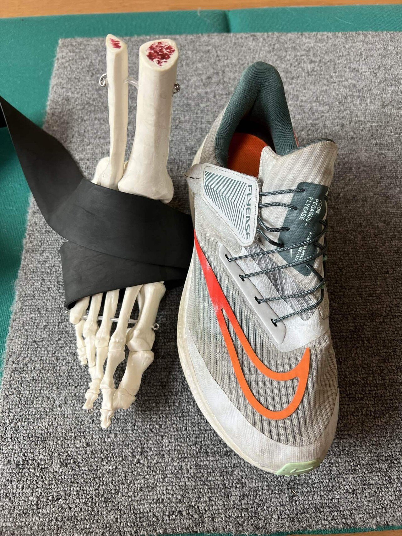 ズームペガサス39 フライイーズ|seiya ズームペガサス39 フライイーズ|seiya