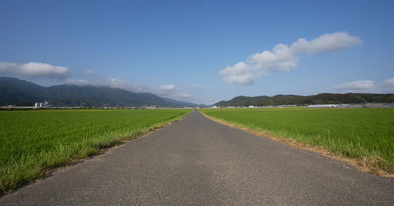 散歩道に見た決意