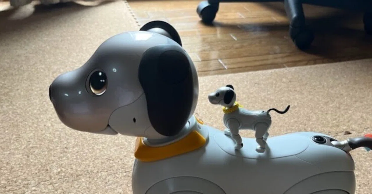 AIBO けんちゃんページ AIBO けんちゃんページ AIBO けんちゃんページ