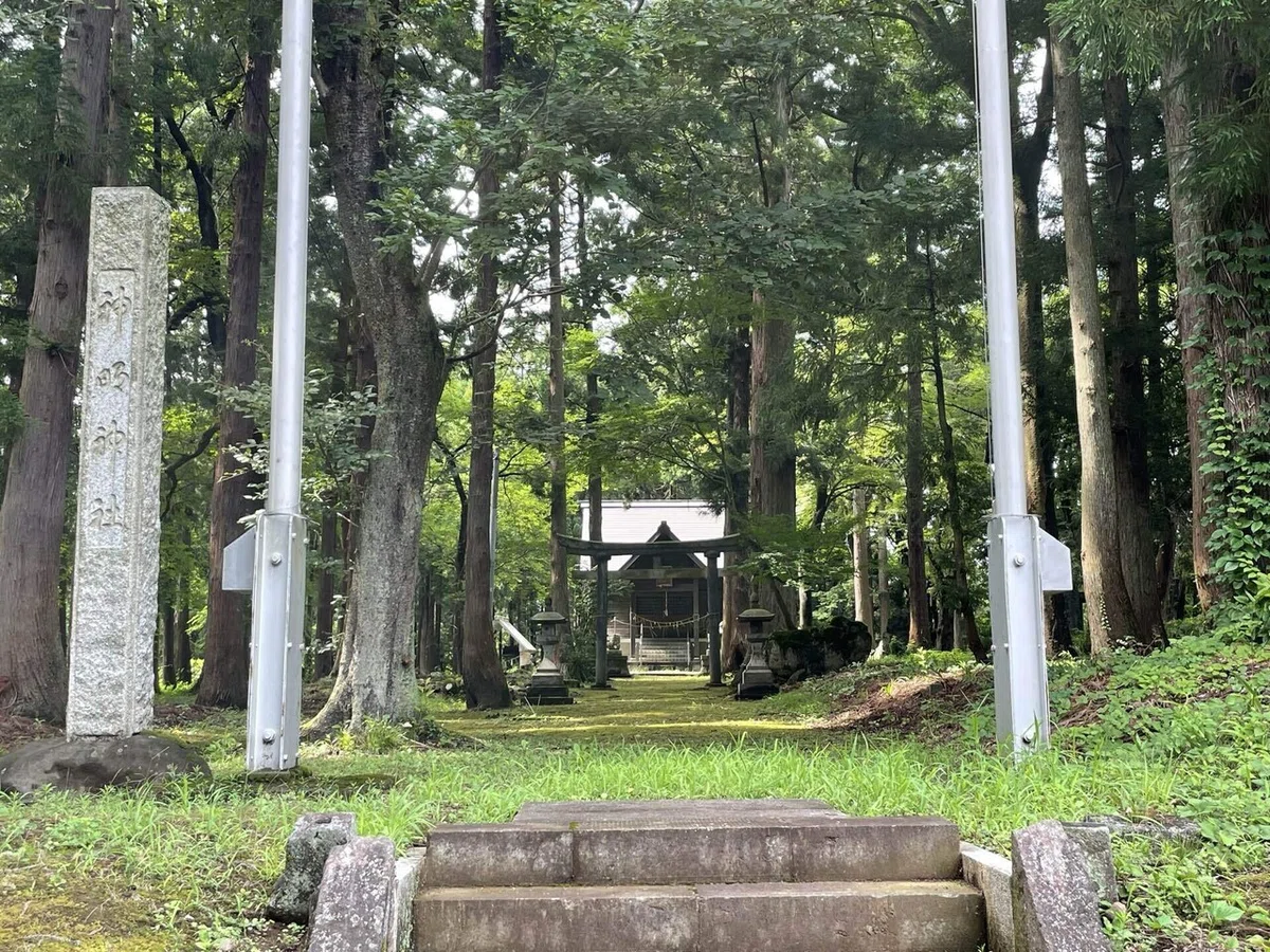 画像