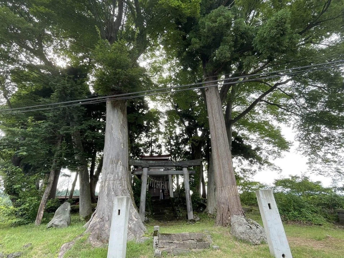 画像