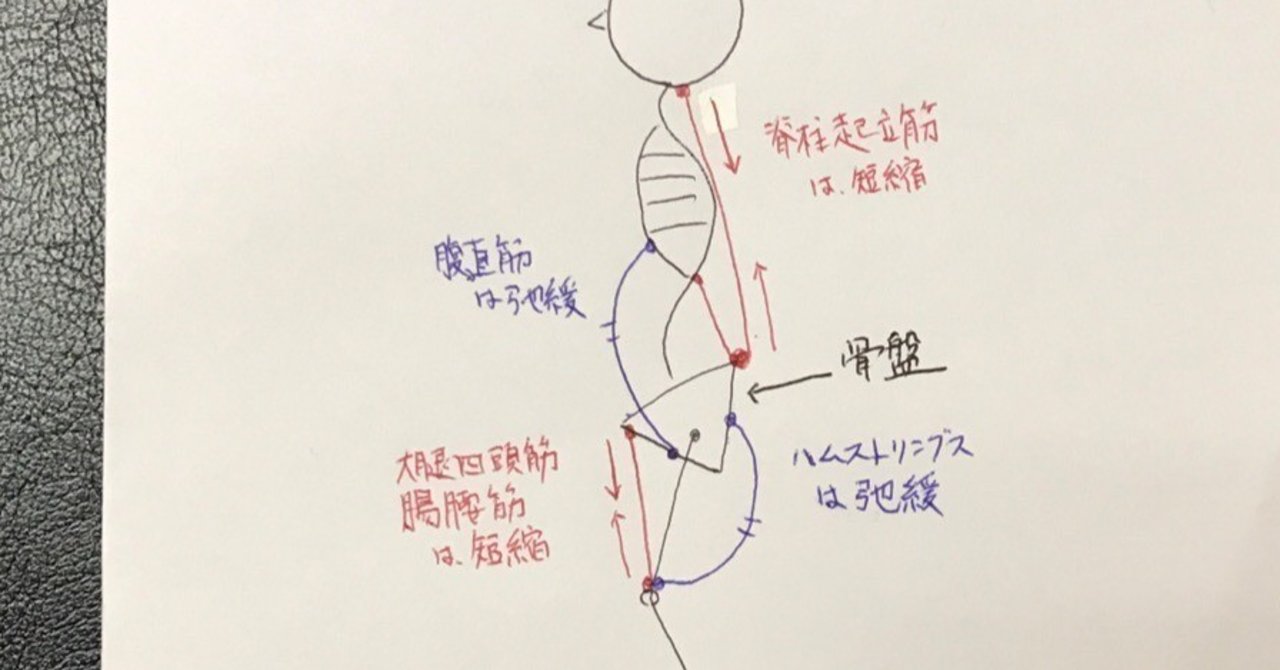 骨盤の前傾 後傾 前傾編 やまtr Note 骨盤の前傾 後傾 前傾編 やまtr Note