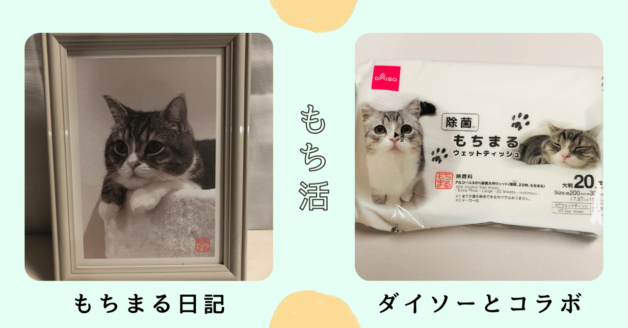 ダイソー DAISO もちまる日記 ネームタグ ネコ 猫 ②（もちまる