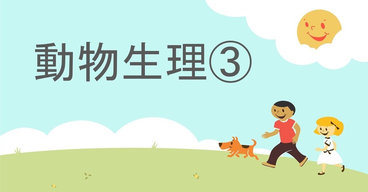 高校生物】動物生理③「神経細胞はどのように興奮を伝えるのか