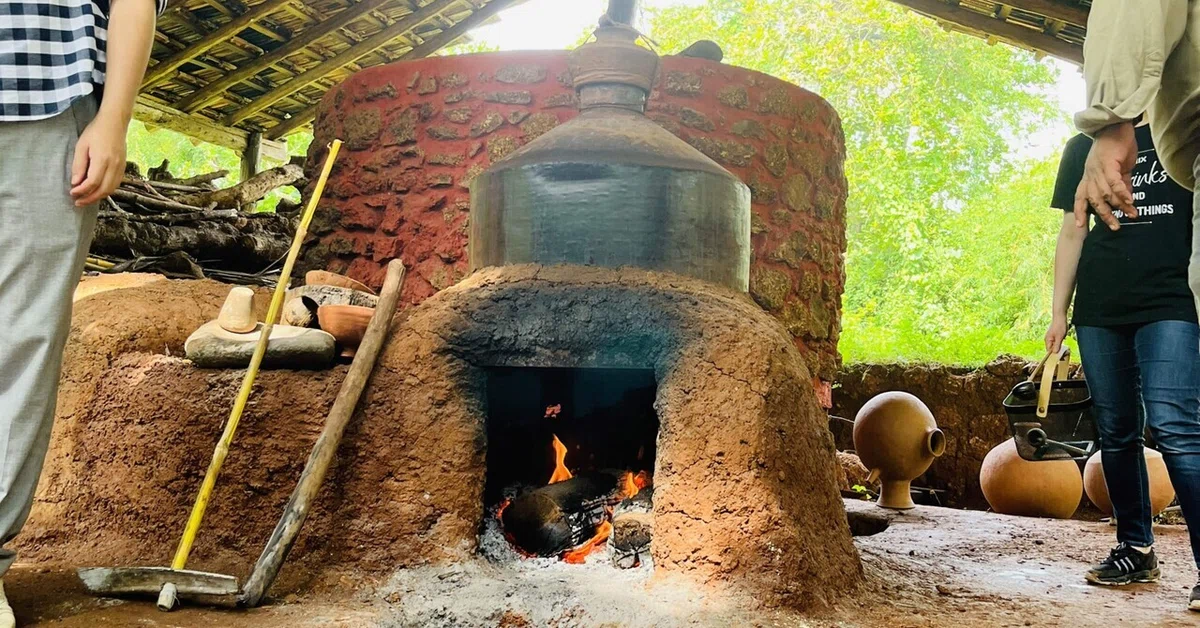 フェニ(Feni) インドの地酒。｜Bar BenFiddich 鹿山博康
