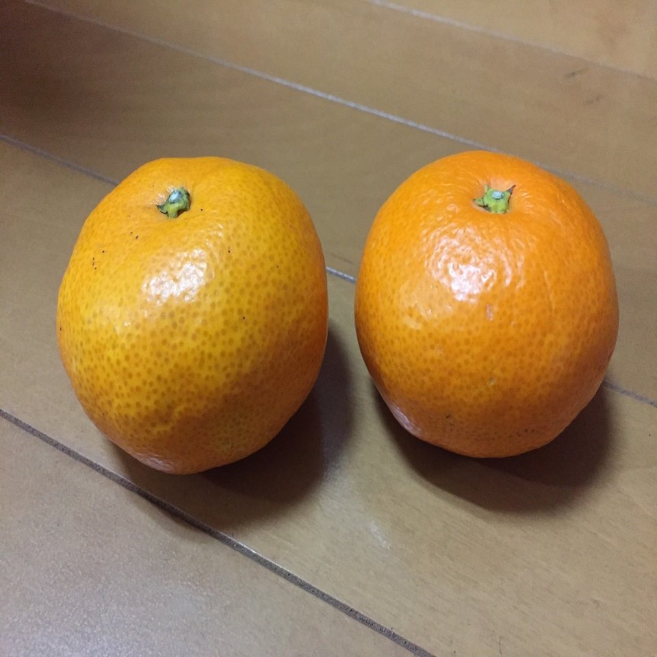 みかん色は 何色だ おがたきりこ 旅するフリーライター Note