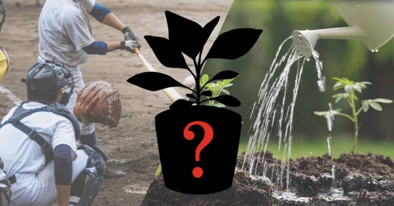 育ててみた 甲子園の土で野菜は育つのか まるやま Note 育ててみた 甲子園の土で野菜は育つのか まるやま Note