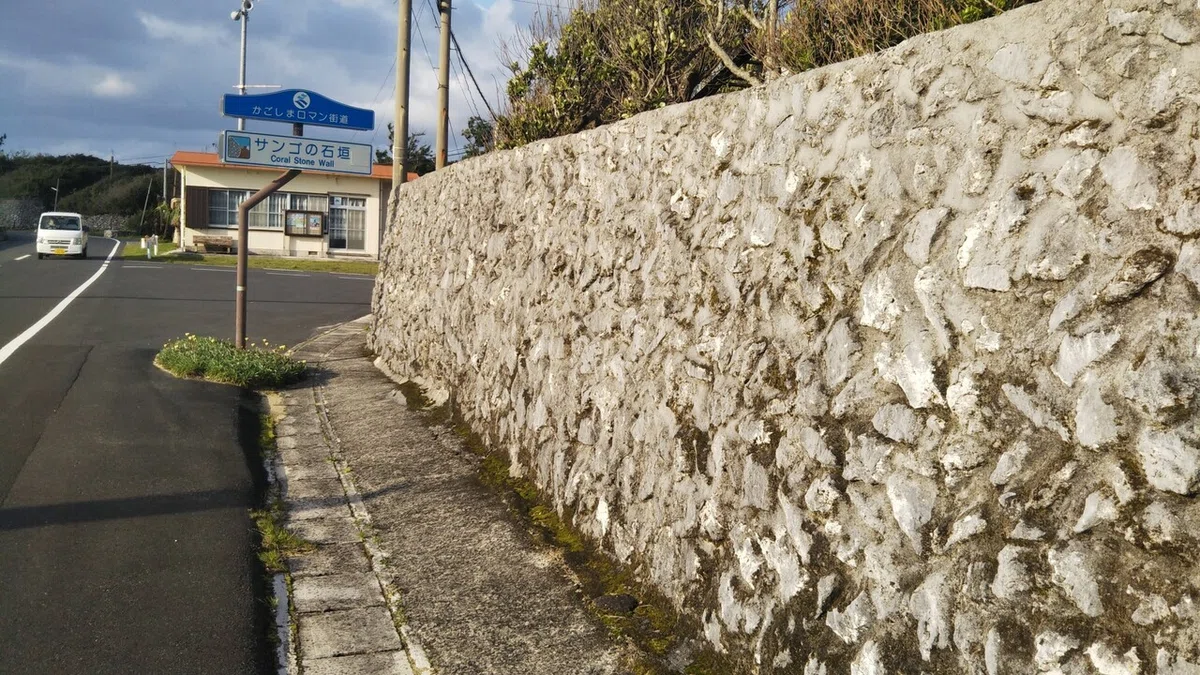 画像10
