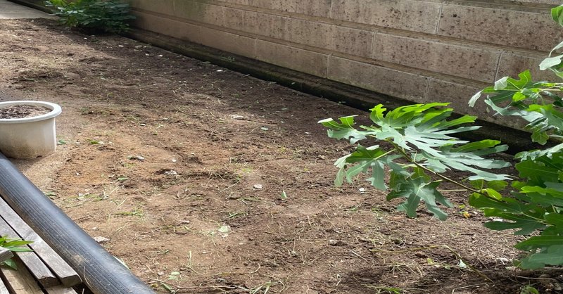 修養科隔離日記　２日目(47日目)