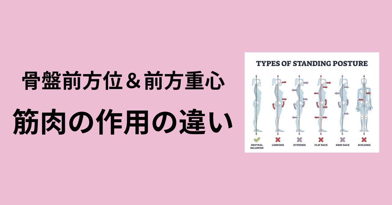 重心バランス軸調整療法 I.姿勢と重心バランス制御 重心位置とバランス制御、姿勢の関係とは？ | 株式会社RIKI