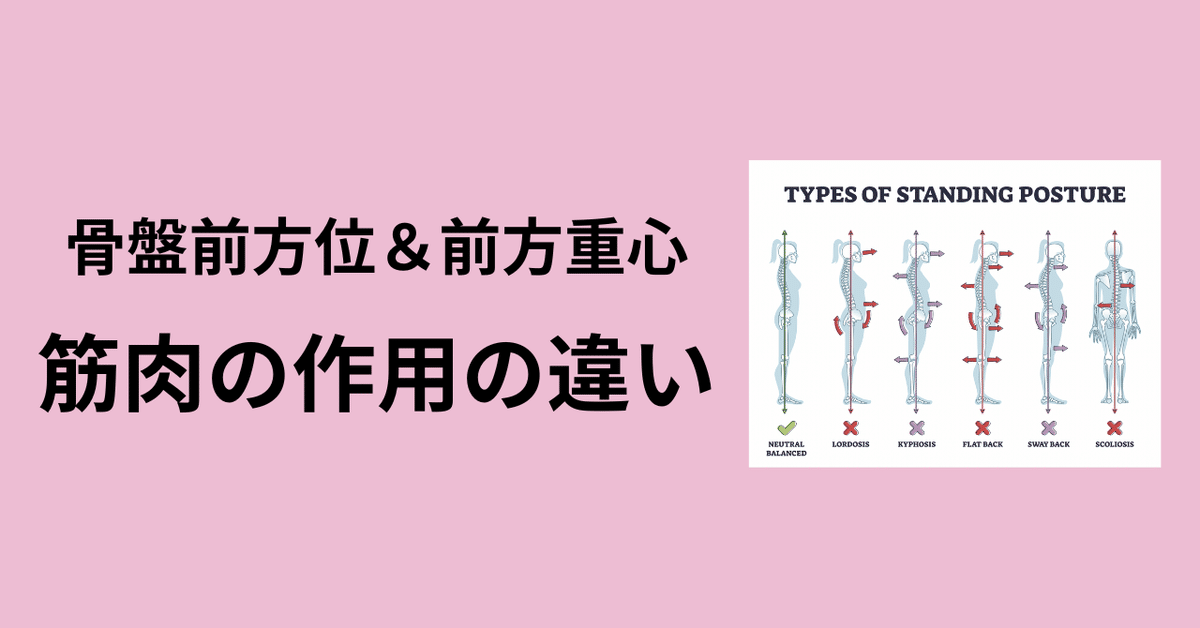 立位姿勢における「骨盤前方シフト」と「前方重心」の違いと筋肉