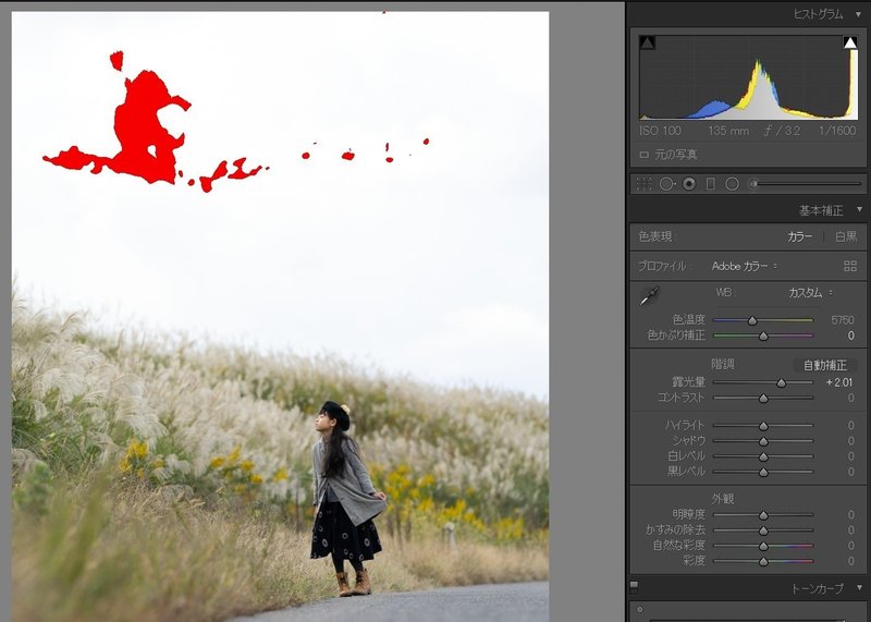 写真 レタッチを前提としたraw撮影とは Kogame Note 写真 レタッチを前提としたraw撮影とは Kogame Note