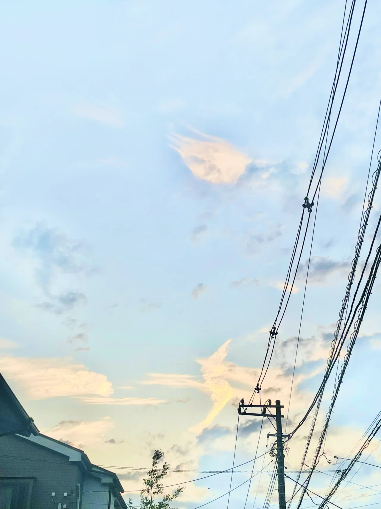 写真 高校生と空 池田はなか Note