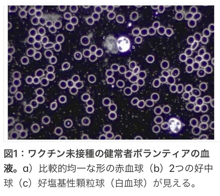 画像4