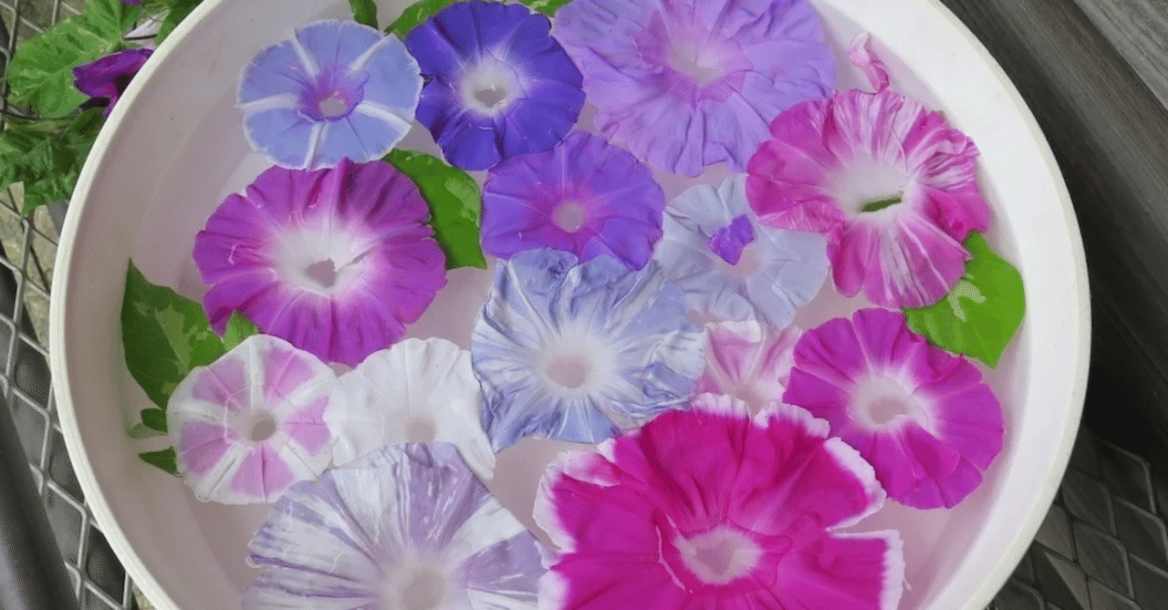 大人の夏休みスペシャル！ こどもの本とあそぶ休日 ～2日目 40鉢を