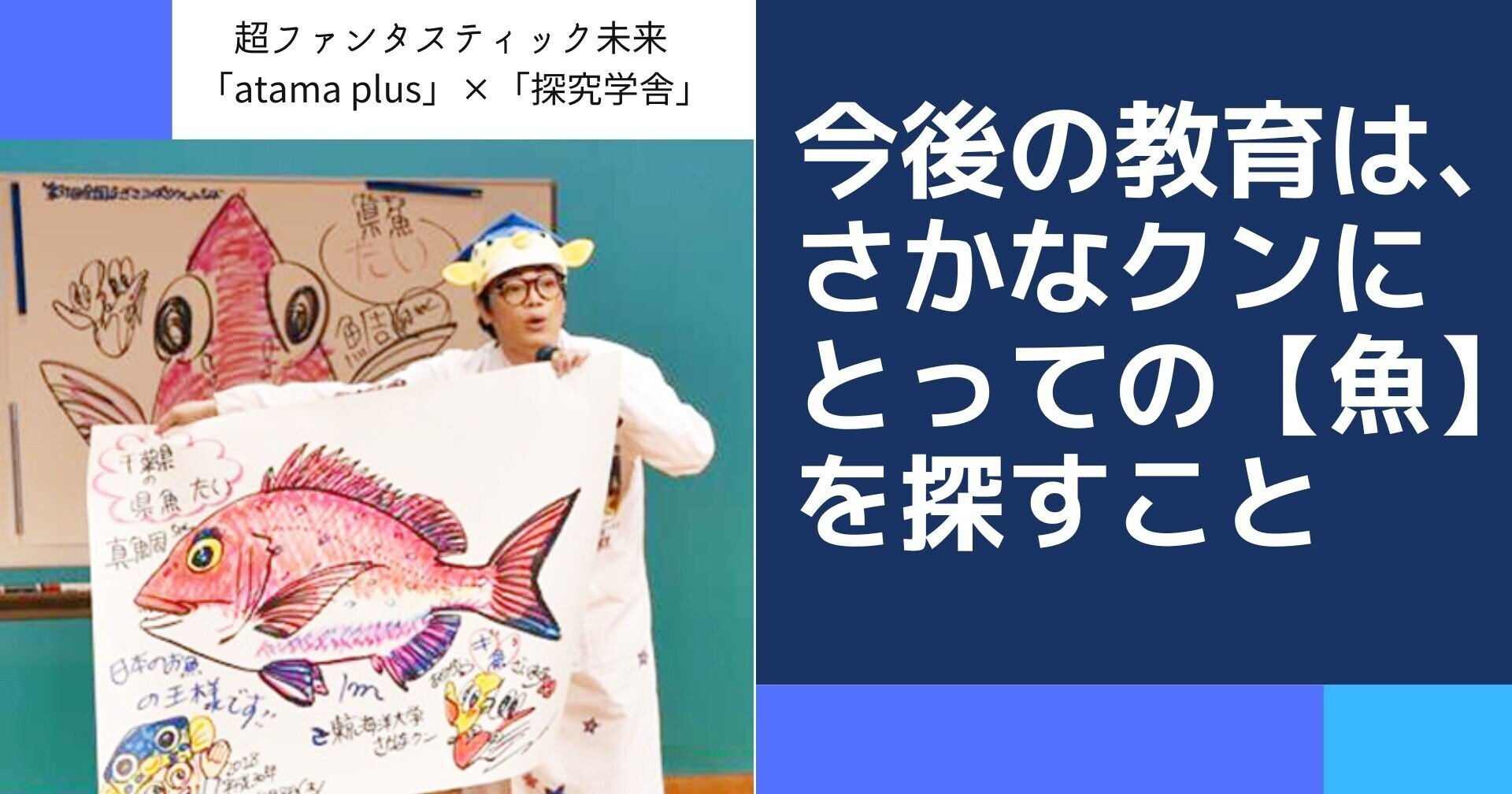 Selecta トリダスボックス（SE62019）｜マタニティ服と授乳服の