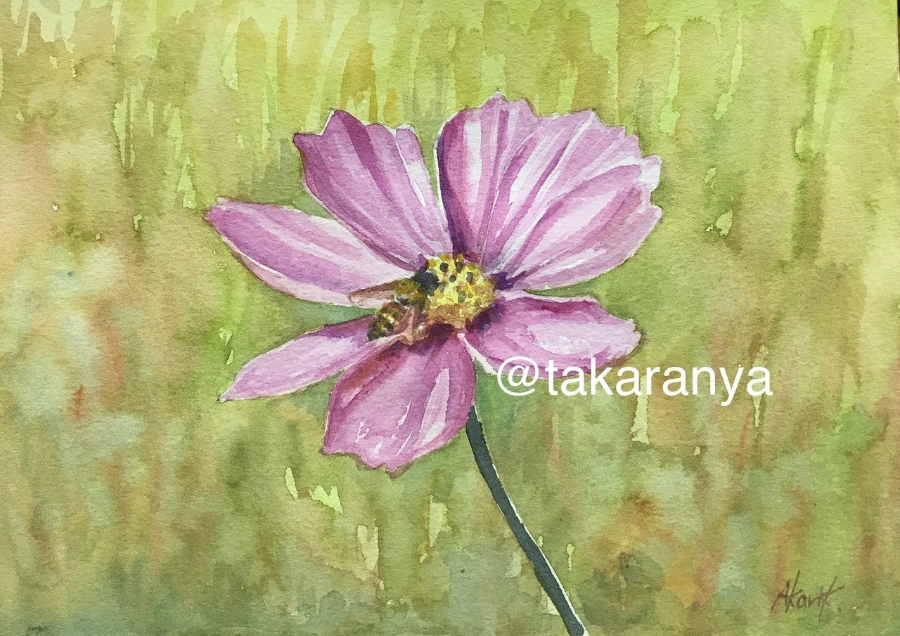 コスモスとミツバチ たからにゃ イラスト Note