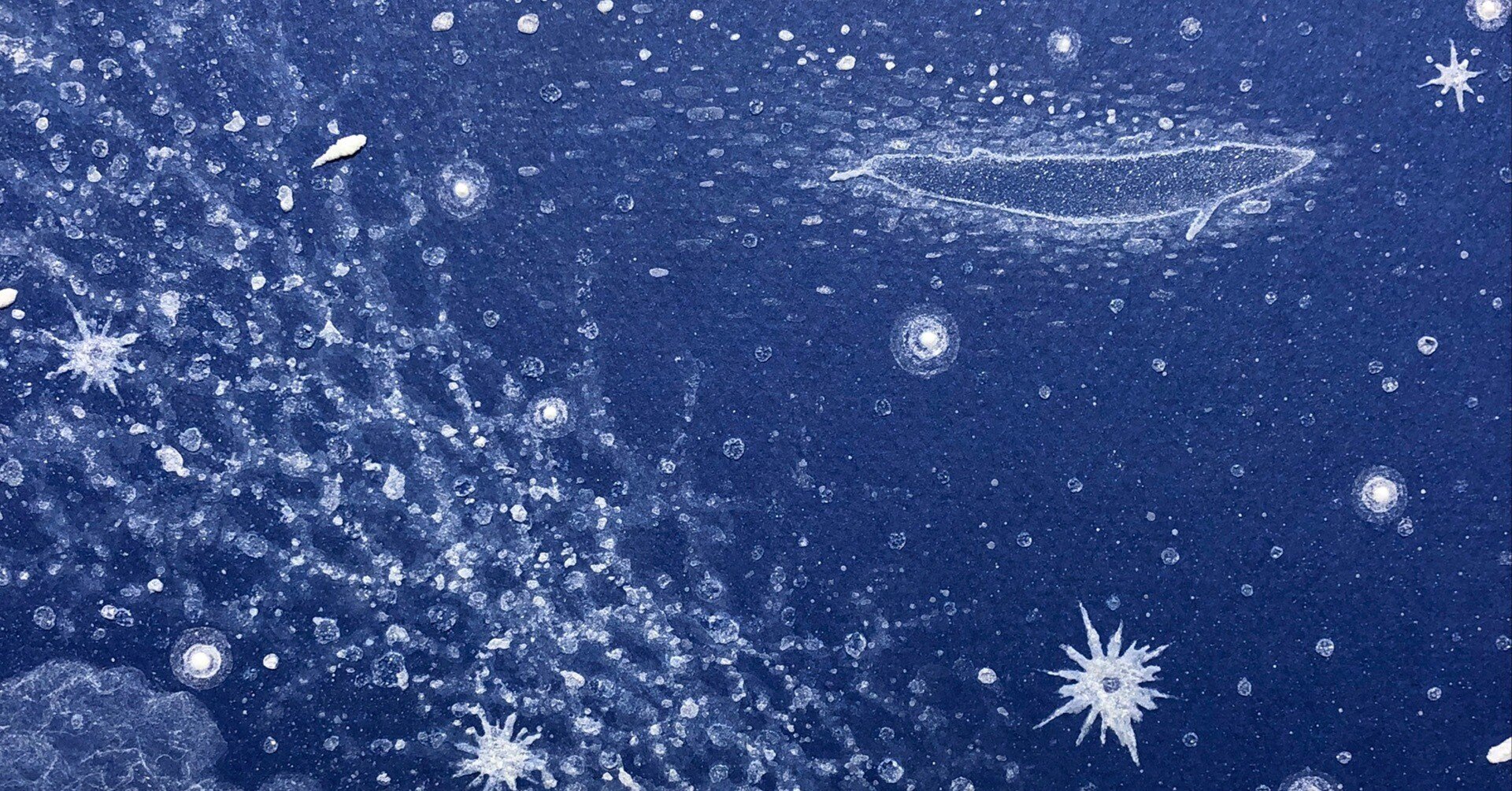 ジャケットについて語る #06 52Hzの鯨｜MATSURI Creative note