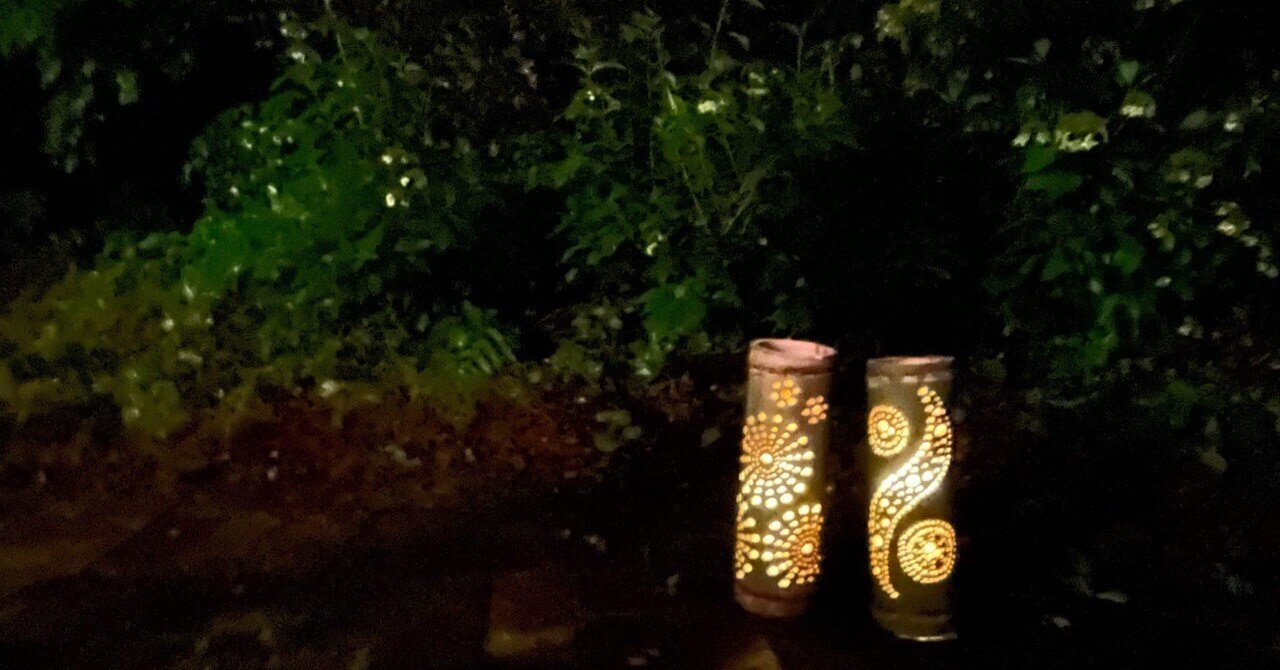 【休止中】今年生まれの天然竹＊標高400m清浄山奥から直送＊DIY・夏工作等に 休止中】今年生まれの天然竹＊標高400m清浄山奥から直送＊DIY