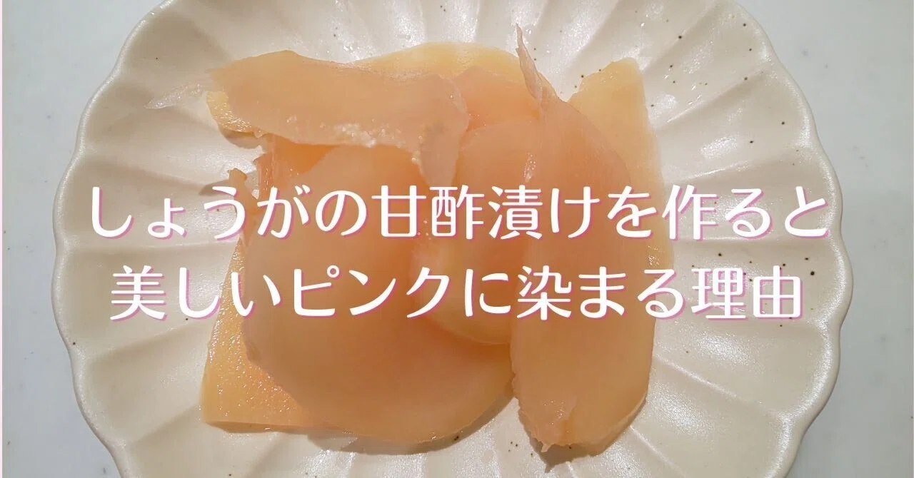 生姜の甘酢漬けを作ると美しいピンクに染まる理由｜愛川真白（あいかわ