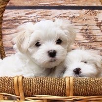 名言集 勇気づける言葉たち Note 名言集 勇気づける言葉たち Note