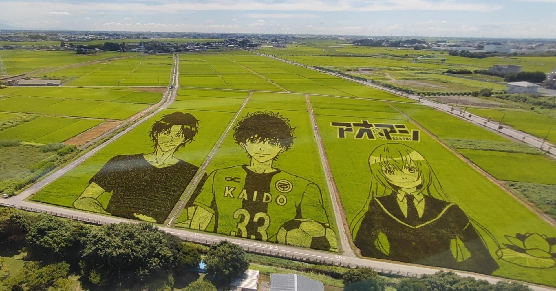 埼玉ウォーカー】行田・世界最大の田んぼアート｜TRIP_YUKO｜お出かけ