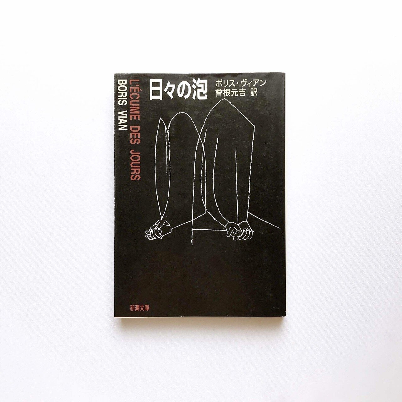 読書人間📚『日々の泡』ボリス・ヴィアン/曽根元吉 訳｜村田千沙