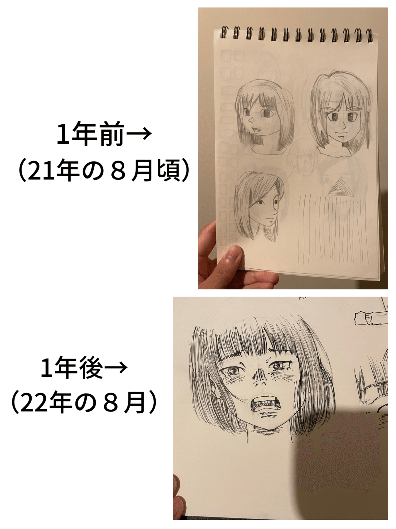 絵描き経験0の社会人が、1年間絵を描くとこうなる｜はせべ