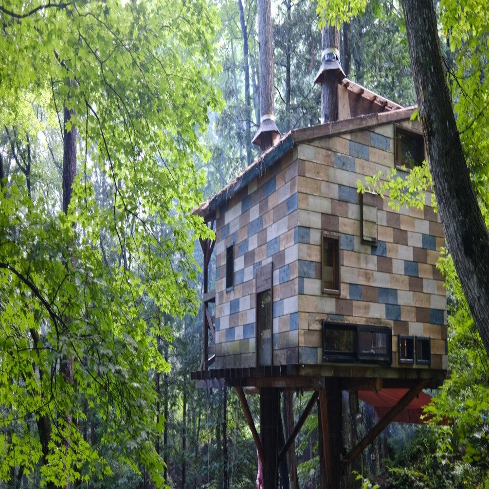 ツリーハウスキャンプ 森を冒険し、ツリーハウスに泊まった話｜株式会社拓匠開発 「本能に