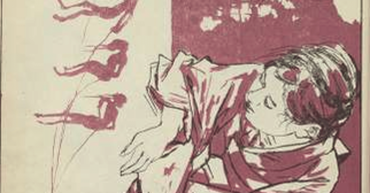三四郎』の謎について⑩ 西洋手拭二枚は多いよ｜小林十之助