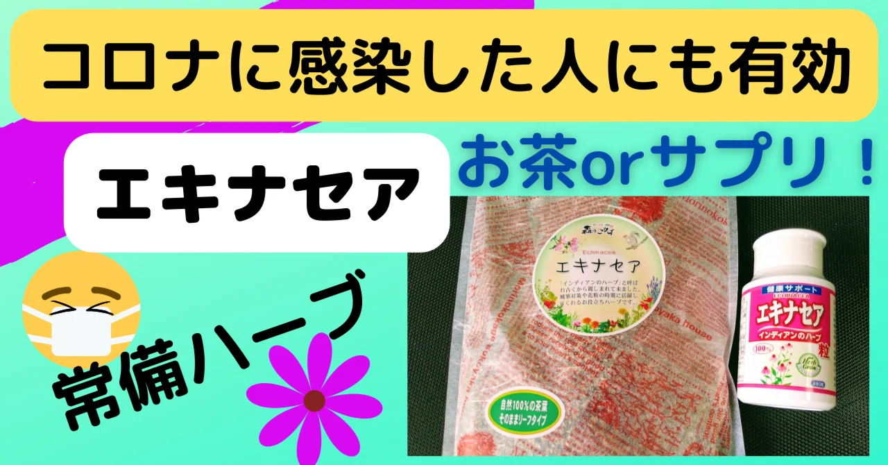 コロナ対策に免疫力upのハーブ「エキナセア」を常備！子供や高齢者の 