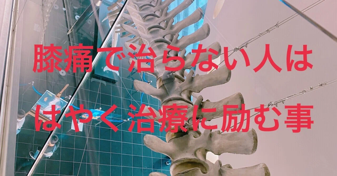 膝痛・腰痛オススメ】微調整可能 アクチベーター カイロプラクティック 