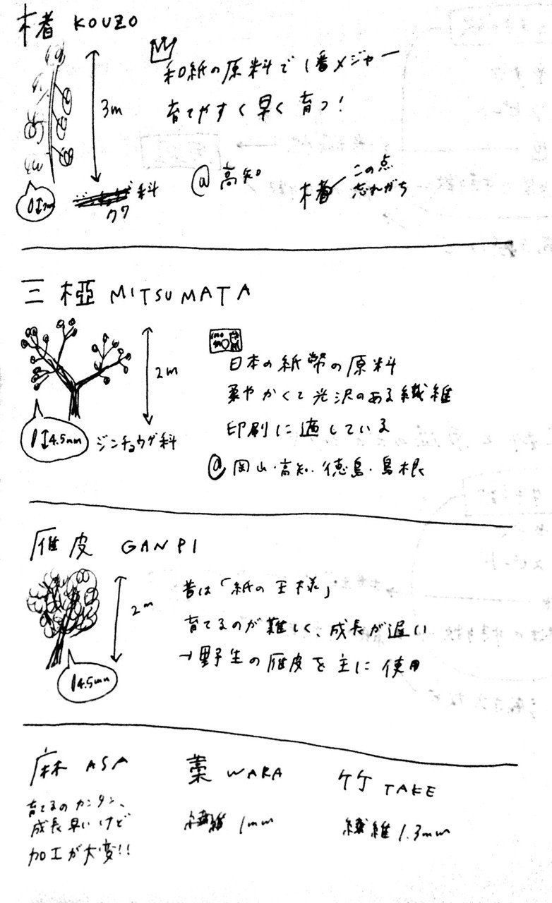 和紙の原料の違い なみえゆい Kami Note