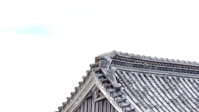 画像19