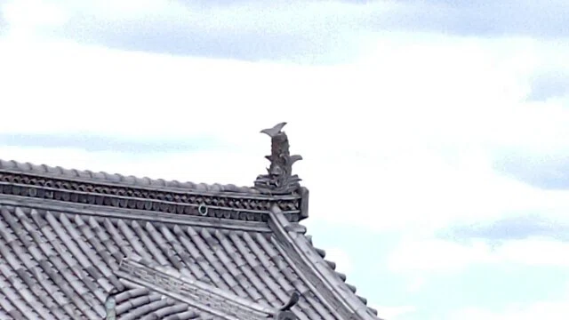 画像18