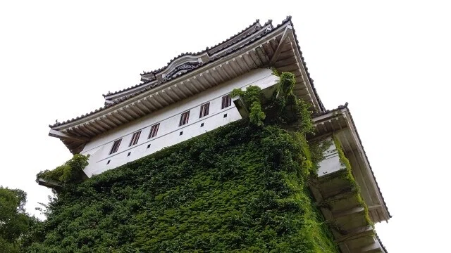 画像6