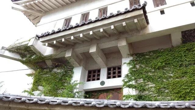 画像9