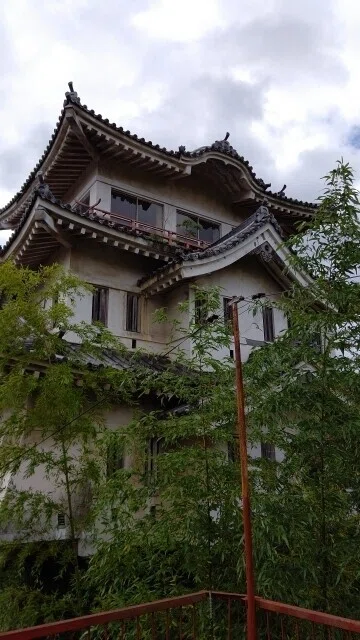 画像14