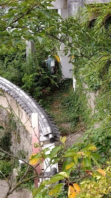 画像12